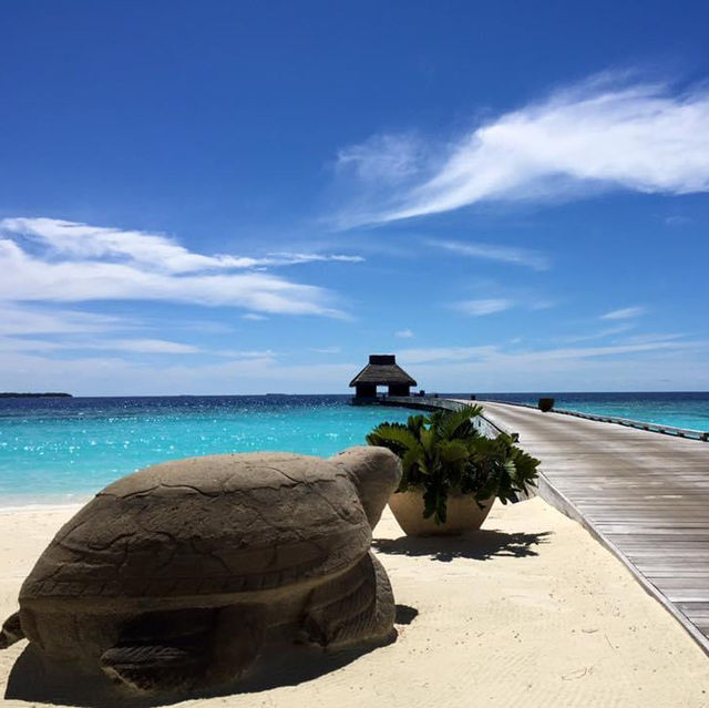 Ultra luxurious private island in Maldives 
