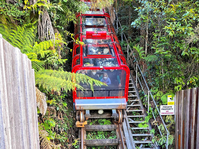 Scenic World