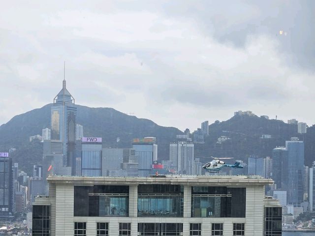 環境舒適及點心高質的中菜館