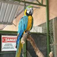 One of the attractions in Malacca