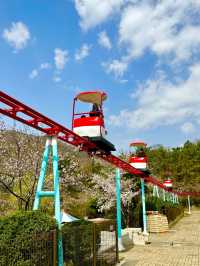 【韓国・金海】春に行きたい！金海のテーマパーク
