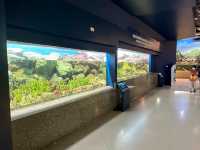 Bangsean aquarium