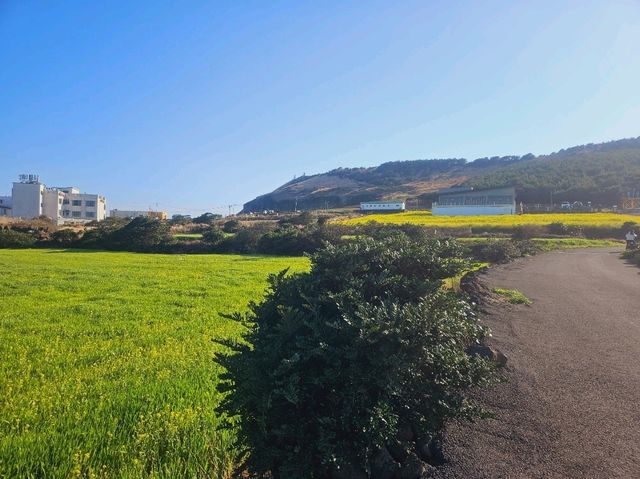 An outer island from Jeju Island, Udo