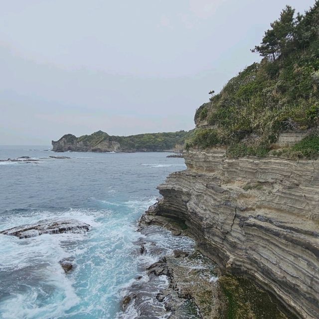 【千葉県】天然の水族館！勝浦海中公園展望台°･🐠