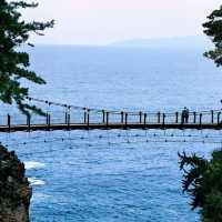 「八丈島🪭遠離塵囂」