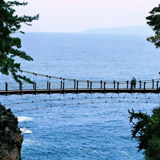 「八丈島🪭遠離塵囂」