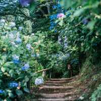 【福岡景點】星之花公園～漫步賞景