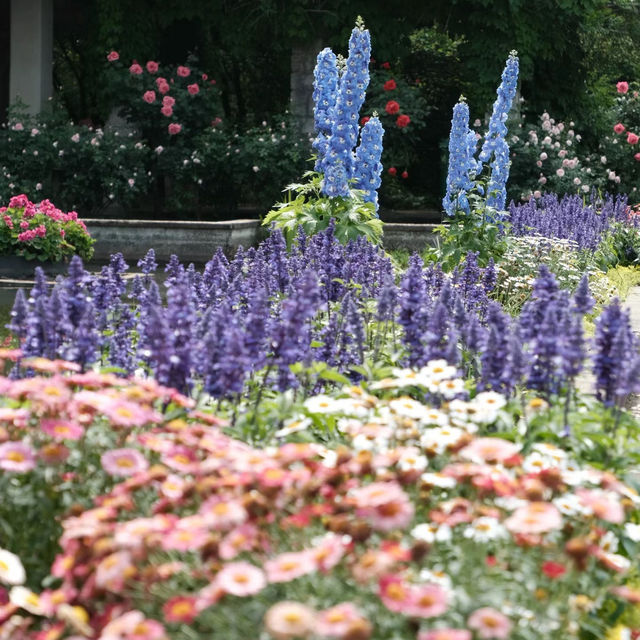 【大阪景點】HOS花園：世界珍奇植物，園藝治療，放鬆靜心時光