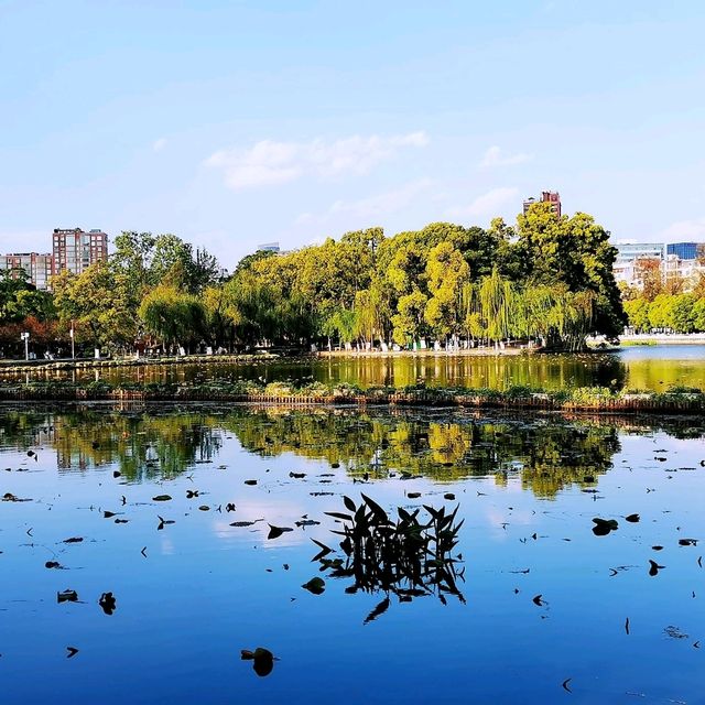 翠湖公園-綠寶石