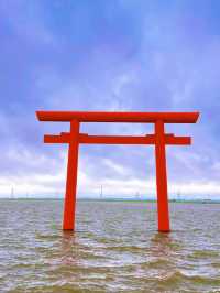 【茨城】神秘的な神社⛩最強パワースポット✨