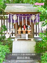 【猿田彦神社/東京都】開運道ひらき詣の特別な期間