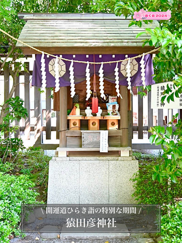 【猿田彦神社/東京都】開運道ひらき詣の特別な期間