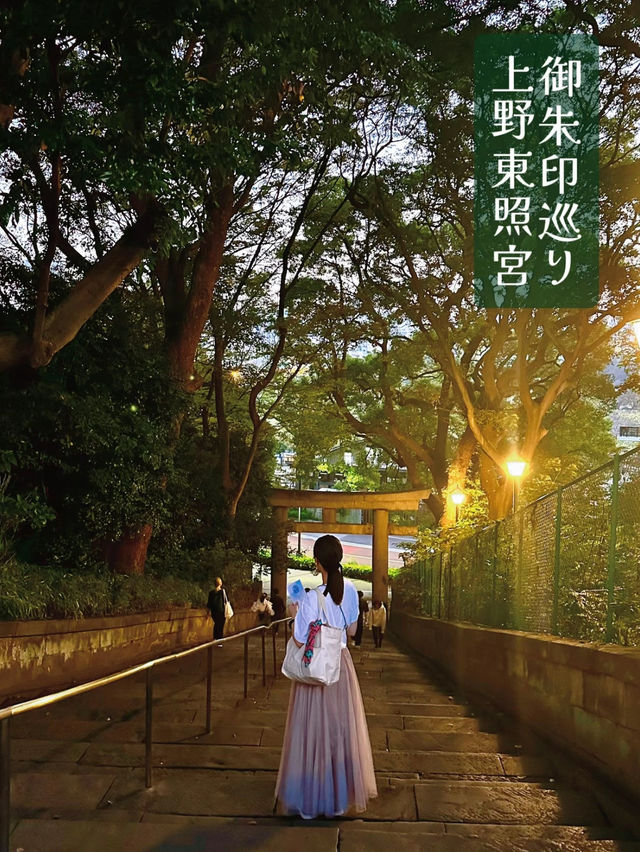 【東京】御朱印巡り𑁍𓏸𓈒神秘的🤍パワーみなぎる上野東照宮🐼