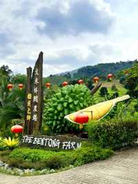 Fun Activities at The Bentong Farm 