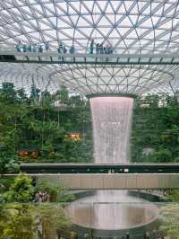น้ำตกยักษ์กลางสนามบิน Changi Airport🌳✨