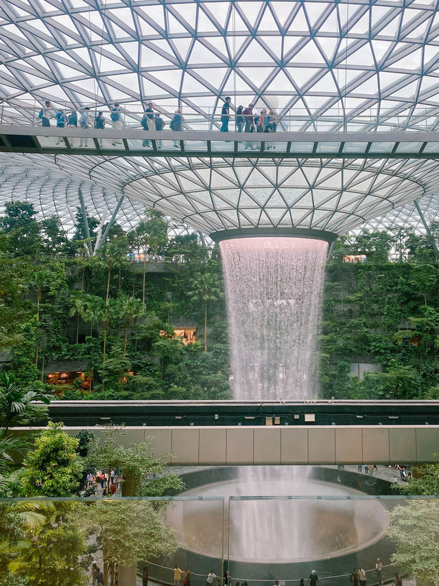 น้ำตกยักษ์กลางสนามบิน Changi Airport🌳✨