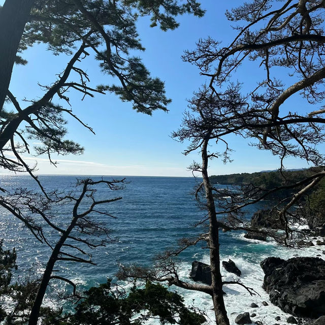 【臺北景點】龍崗步道～蔚藍海景～放鬆身心的時刻