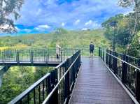 Edge Lookout