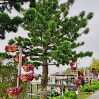Jerai Hills - A hidden gem in Kedah 