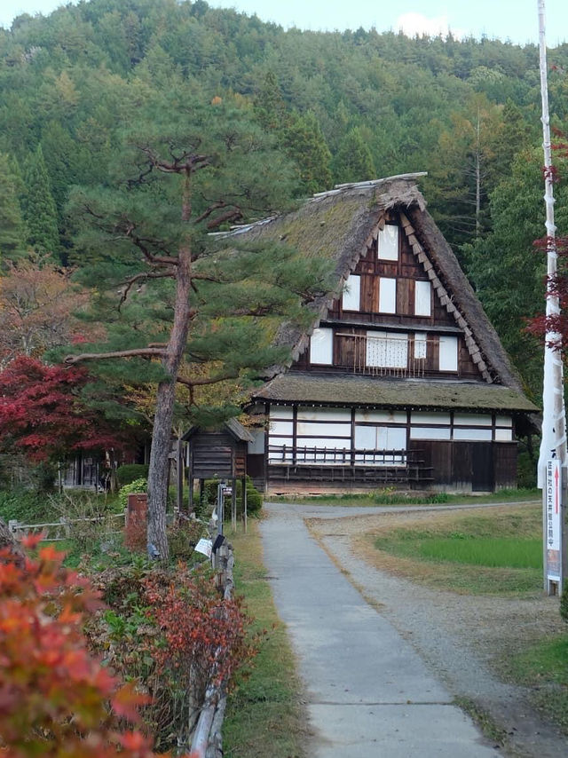 พิกัดเที่ยว Takayama 2 วัน 1 คืน และเมนูห้ามพลาด!!