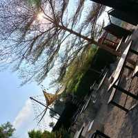 คาเฟ่อารมณ์ดี