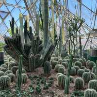 「沖繩東南植物樂園：珍稀植物，科普教育，豐富遊園體驗」