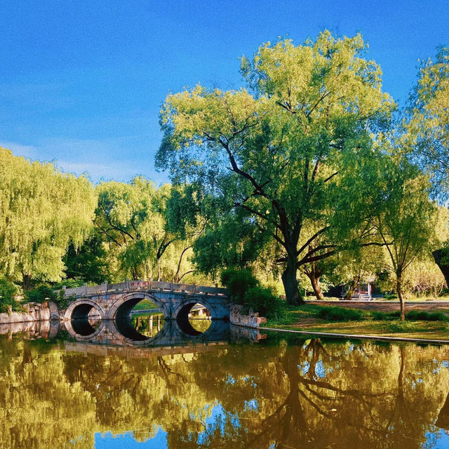 廣州流花湖公園：湖光山色，適合漫步欣賞