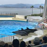 【 福岡之旅。以九州之海為主題的水族館 】 