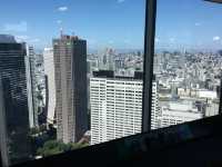 俯瞰東京：白天的展望台與夜晚的光影魅力