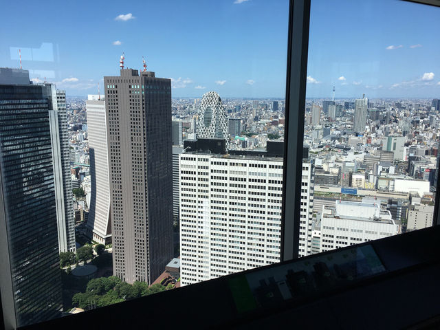 俯瞰東京：白天的展望台與夜晚的光影魅力