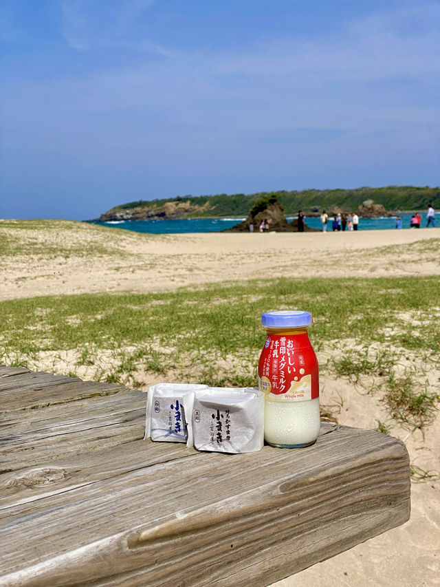 부산에서 배타고 가는 일본 여행 📍대마도