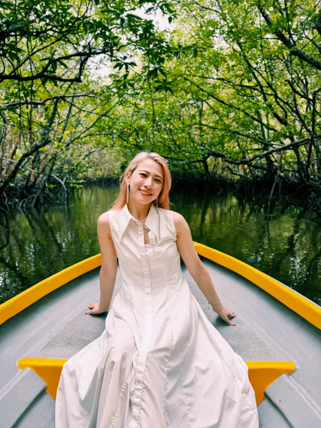 【民丹島】獨享絕景！紅樹林之旅