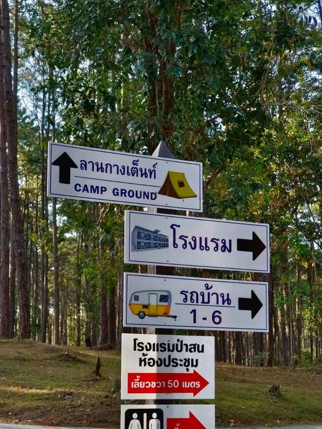 เที่ยวสวนสนน่าฝน นอนบนรถบ้าน - เชียงใหม่