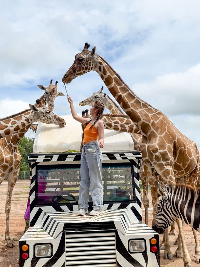 🇹🇭 泰國旅行·北碧府野生動物園Safari Park