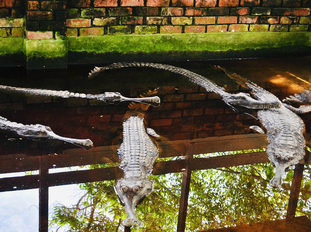 A must-visit for wildlife enthusiasts and families🇲🇾