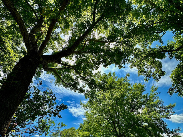 苗栗明德水庫：四季美景，適合欣賞自然景色和休閒活動