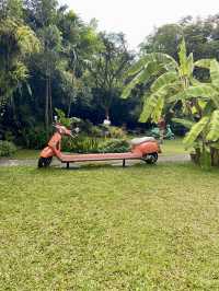 Patom Organic Living