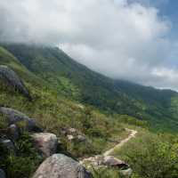 🏞️ 香港必訪景點 - 大嶼山郊野公園！探索自然寶藏！