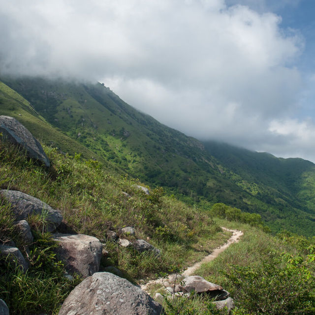 🏞️ 香港必訪景點 - 大嶼山郊野公園！探索自然寶藏！