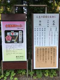 靈性與美景的融合：探索彌高神社