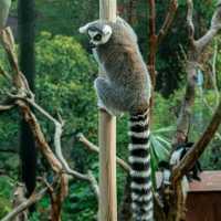 高雄壽山動物園：珍稀動物近距離觀察
