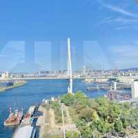 Tempozan Ferris Wheel  