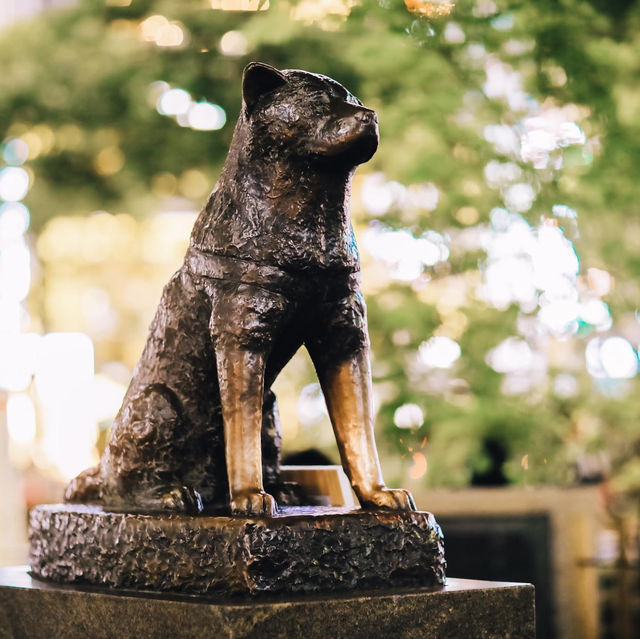 น้องหมา Hachiko ย่านชิบูย่า