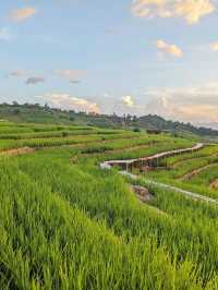 ป่าบงเปียง - นาขั้นบันไดวิว 360 องศา