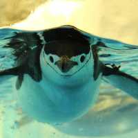 名古屋港水族館