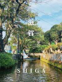 【滋賀】夏が見頃の水中の花「梅花藻」