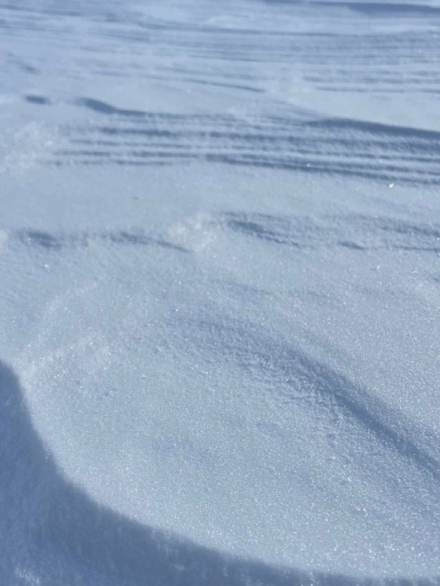 北海道 / アイスバブルを見るならここ