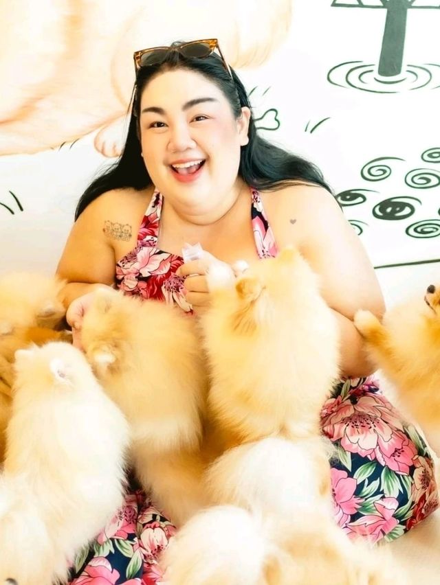 คาเฟ่หมาปอม ศาลายา Happy Pom Dog 