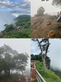 อุทยานแห่งชาติเขาพระวิหาร | ศรีสะเกษ ⛰️🌧️🌳🪨