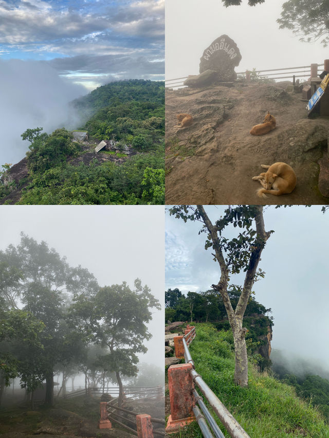 อุทยานแห่งชาติเขาพระวิหาร | ศรีสะเกษ ⛰️🌧️🌳🪨